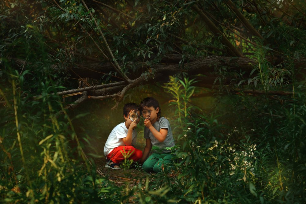 Исследователи