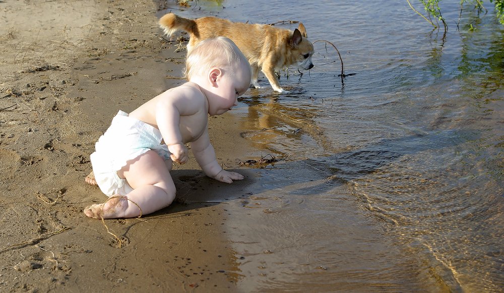 Притяжение воды