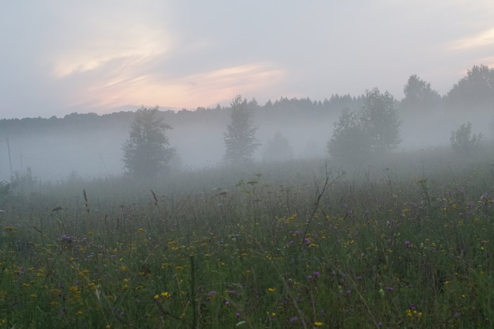 Туманный закат