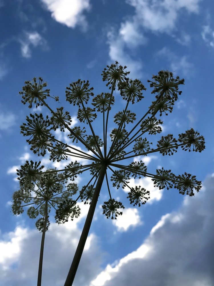 Photograph by Александр Цабель