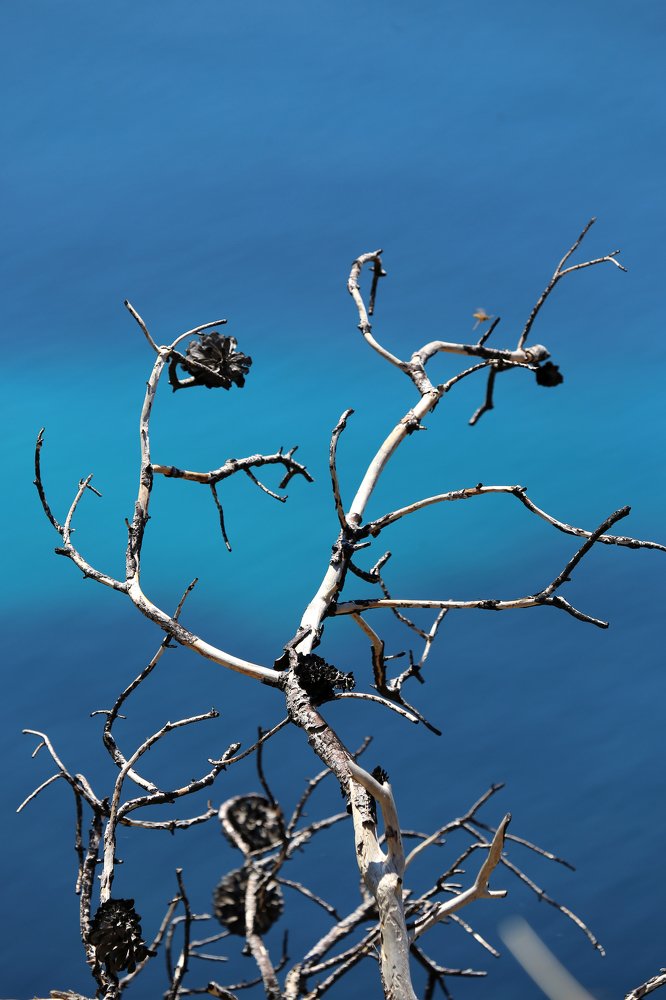 Photograph by Александр Цабель