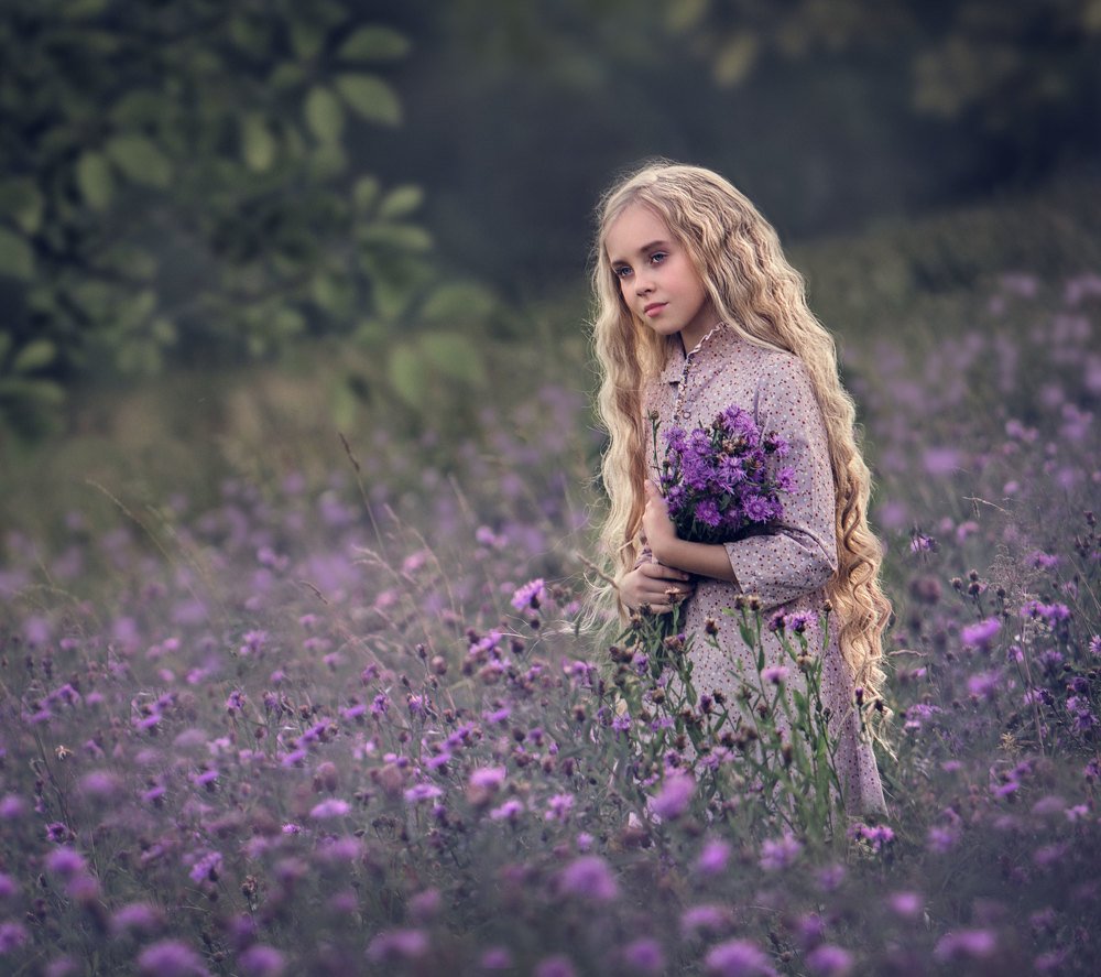 Васильковое поле