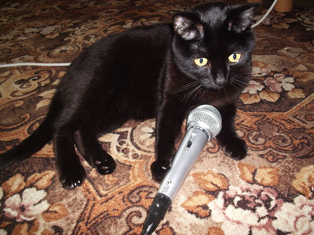 Сейчас спою