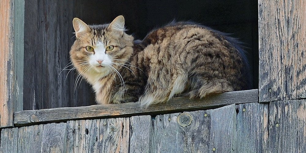 Photograph by Вячеслав Розмин