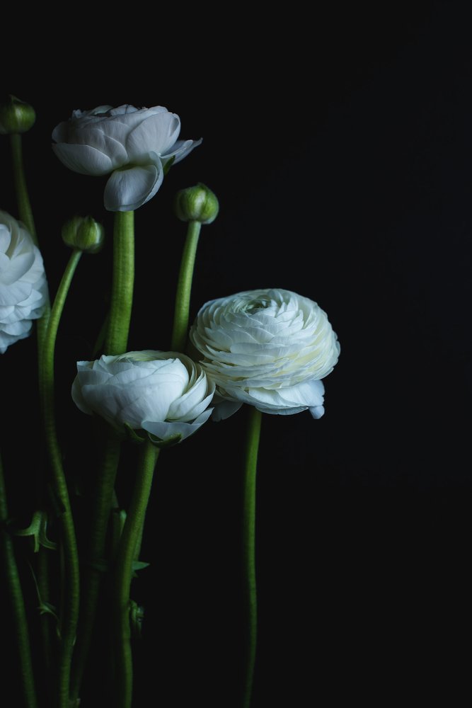 Photograph by Элла Миллер