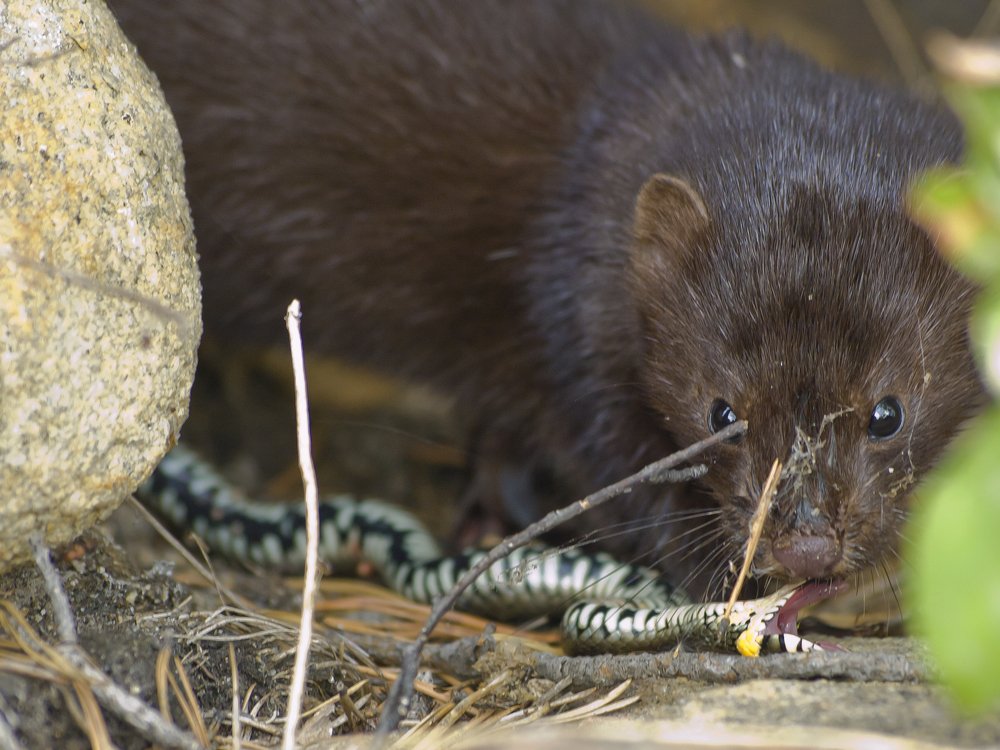 Photograph by Александр