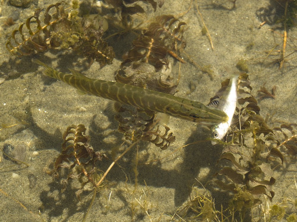 Photograph by Александр