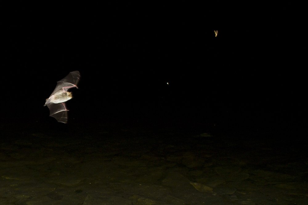 Photograph by Александр