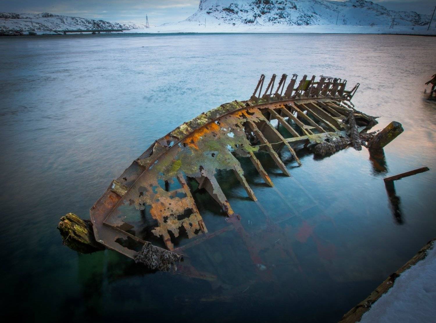 китобой в бухте северо ледовитого