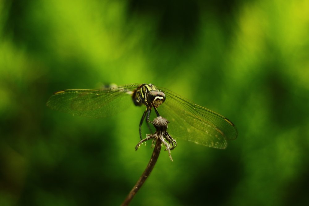 Photograph by Hamed Omidi