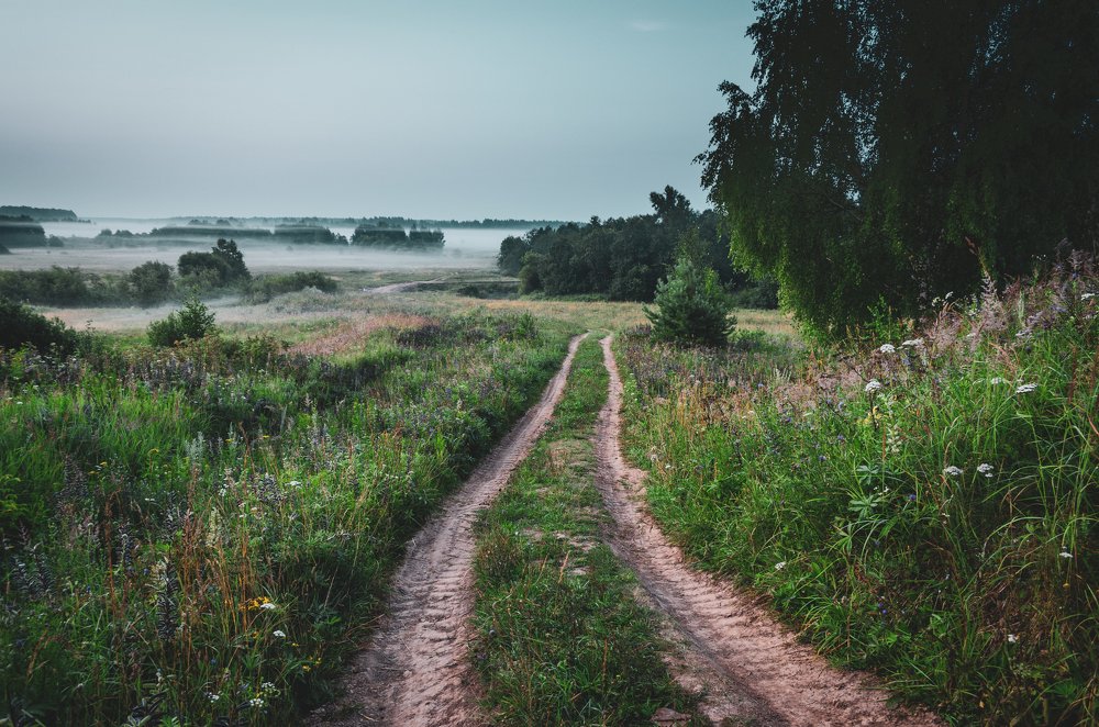 Photograph by Михаил Киселев