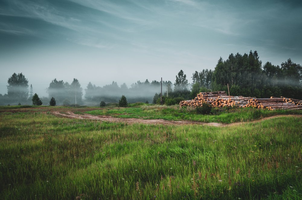 Photograph by Михаил Киселев