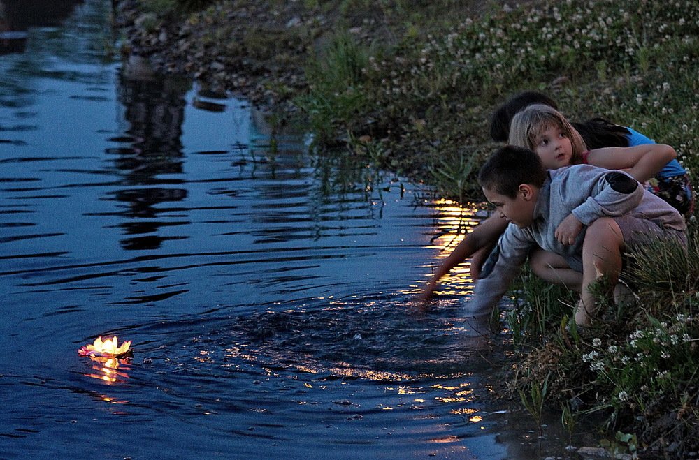 Фотография автора Анатолий Мироненко