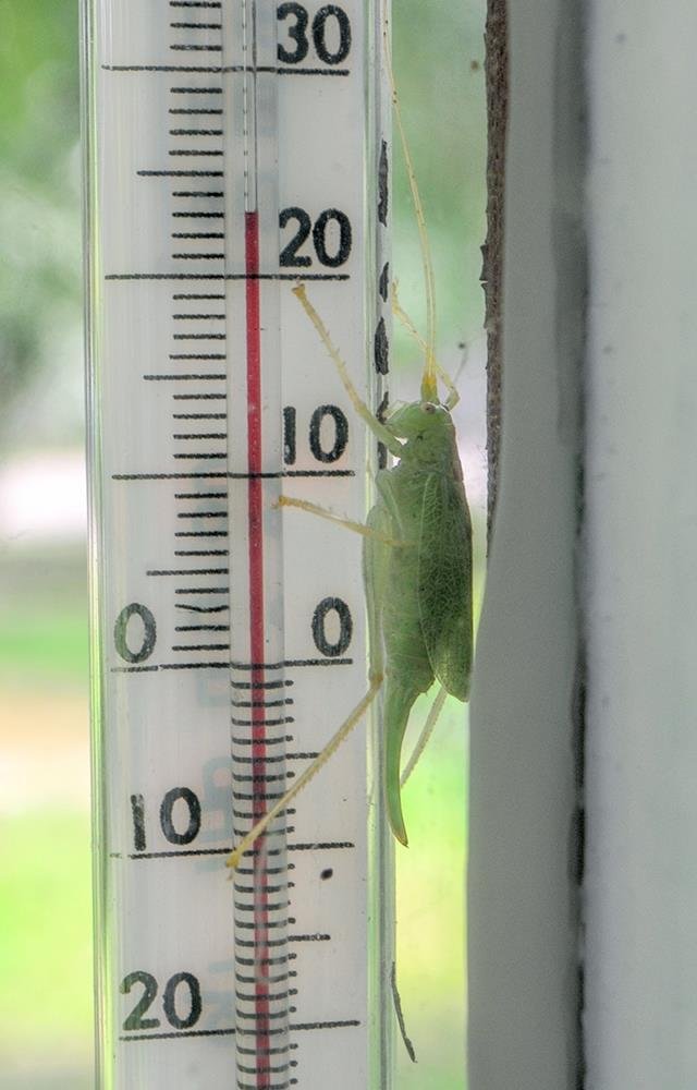 Температура нормальная