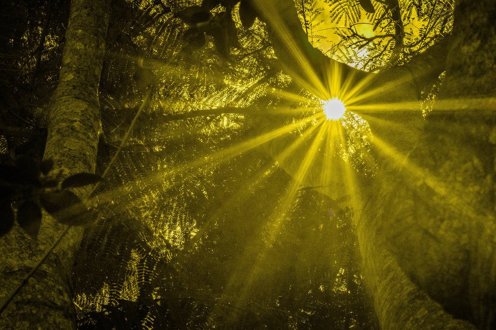 Let the sunshine in...