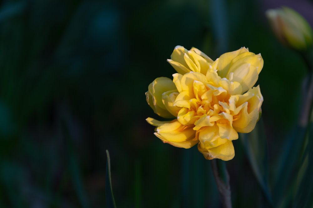 Photograph by Полина Кожухарь