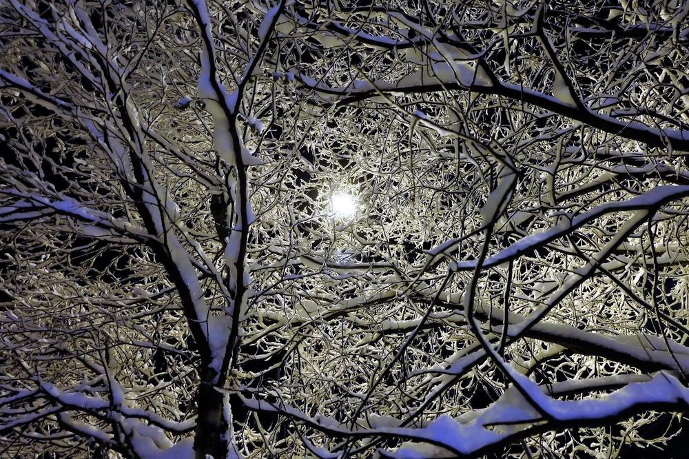 Зимняя вязь.