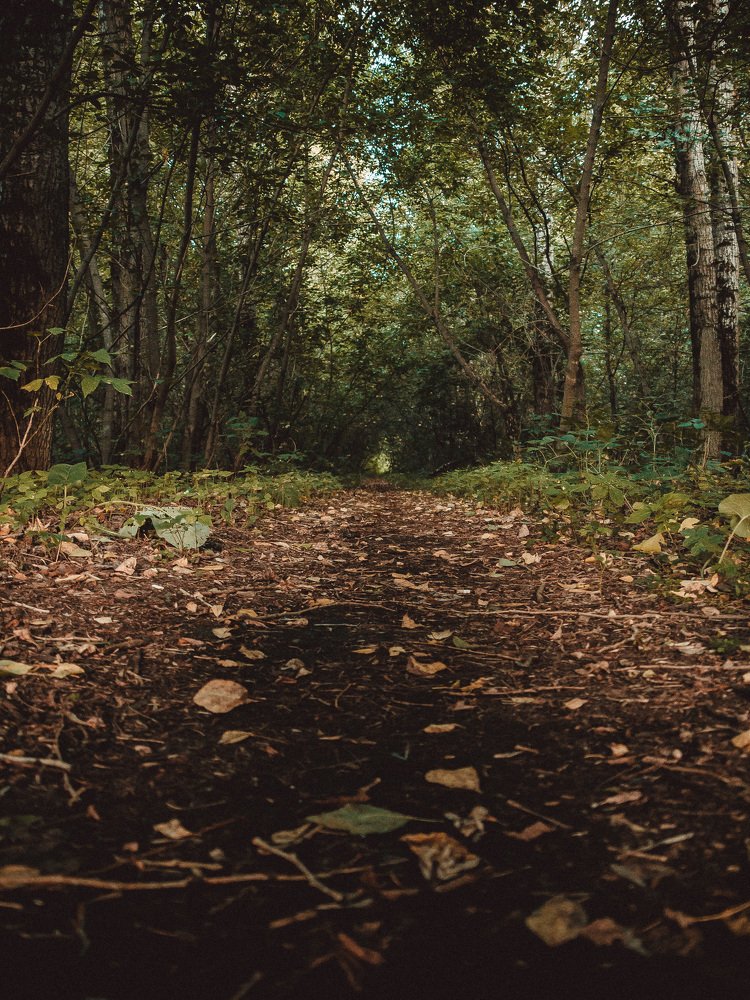 Photograph by Михаил Корнеев