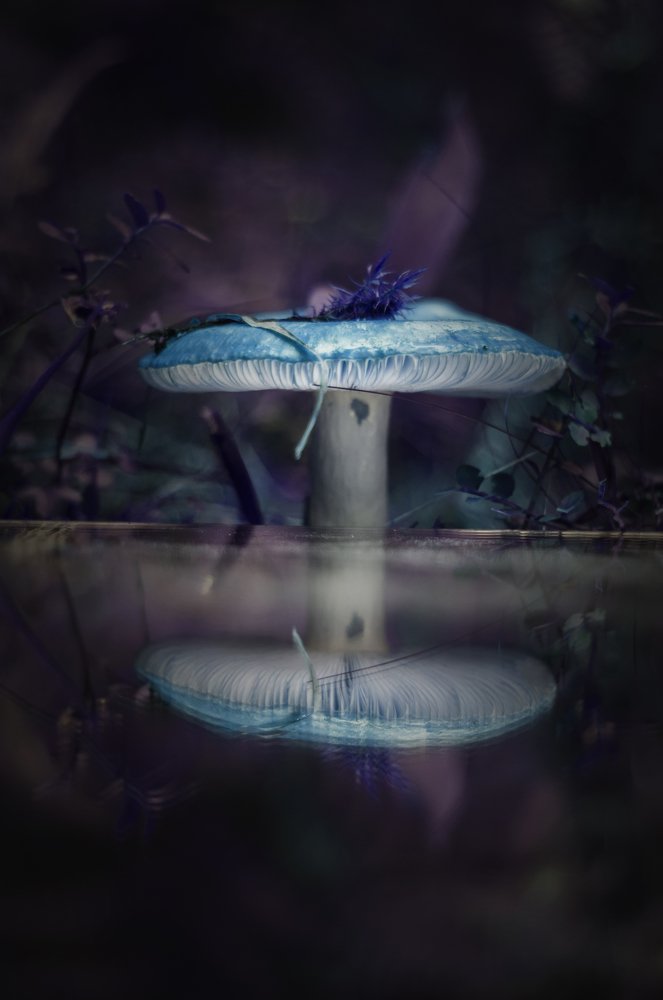 Photograph by Никита Степанов