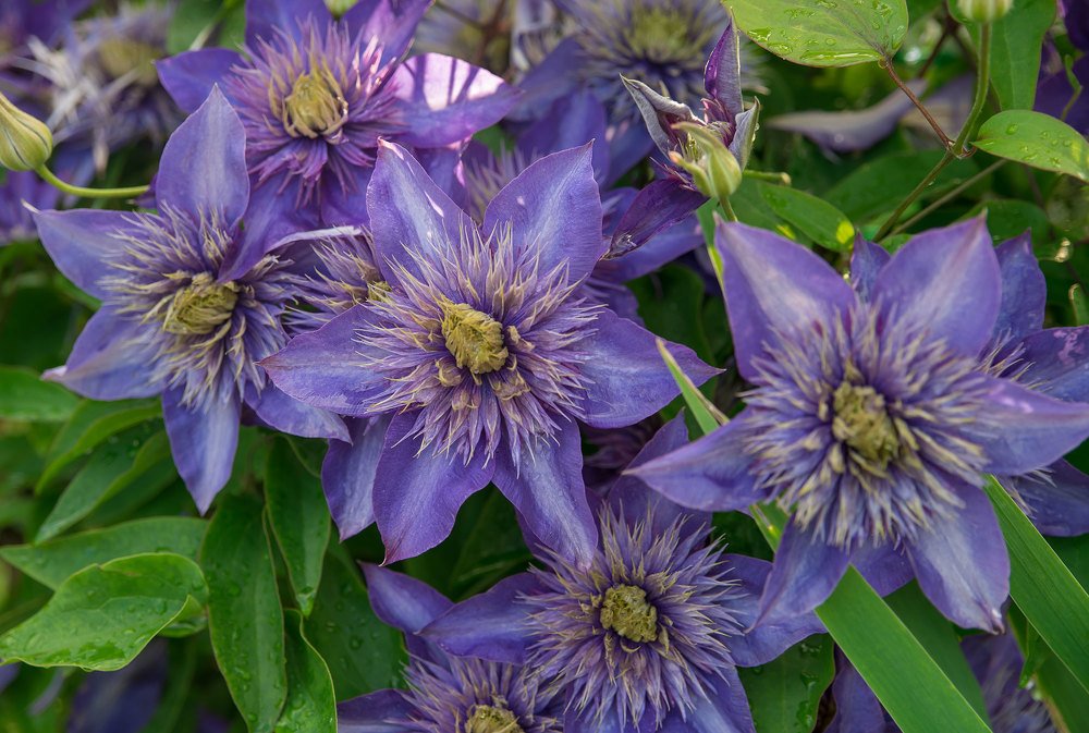 Photograph by Анна Цыплакова