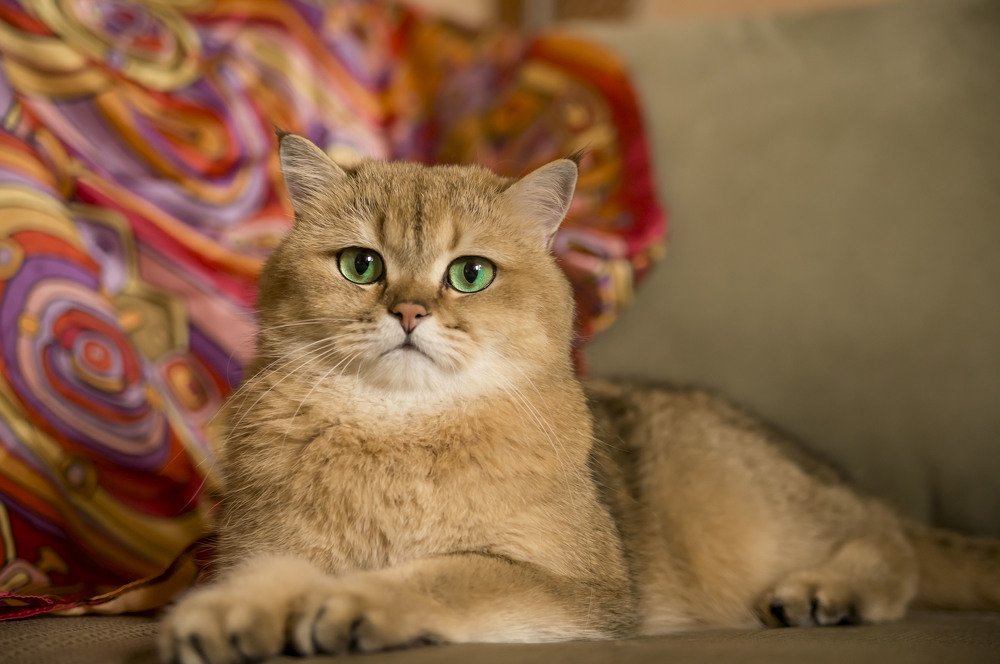 Photograph by Анна Цыплакова