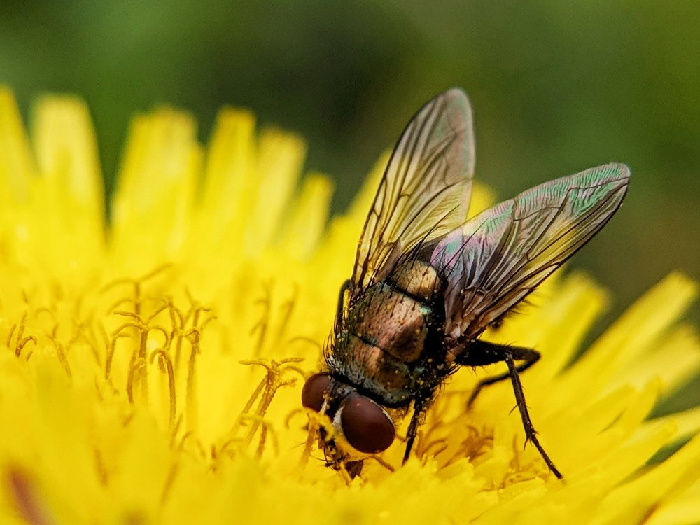 Photograph by Prakhar Sengar