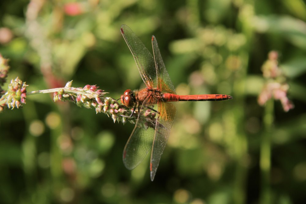 Photograph by Dzianis Mizhui