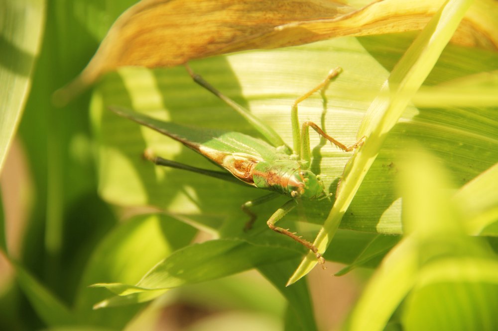 Photograph by Dzianis Mizhui