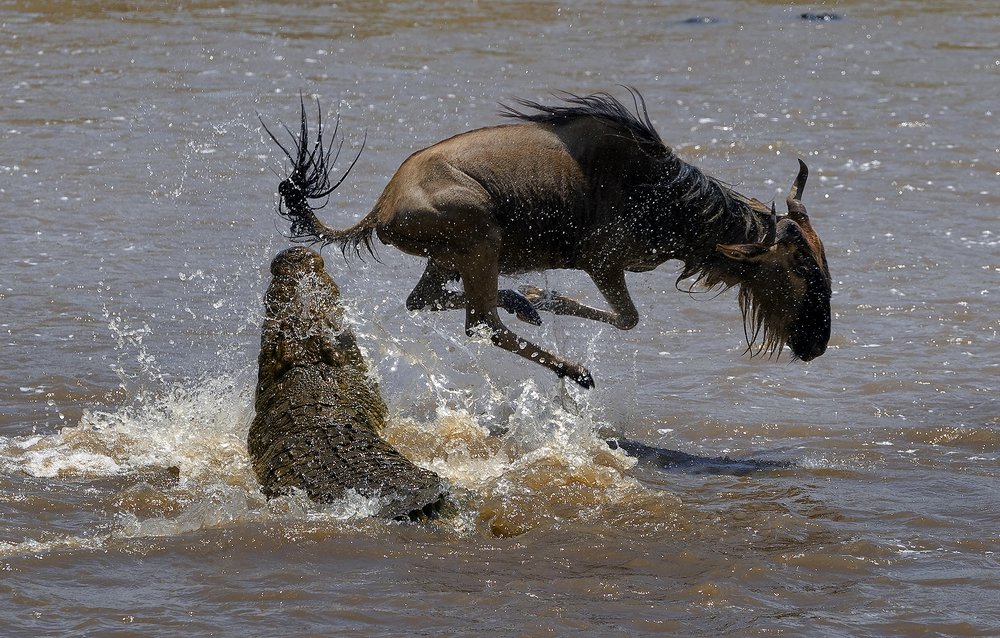 На волосок от смерти