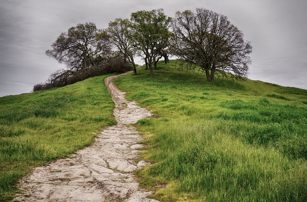 Photograph by Владимир Гречанинов