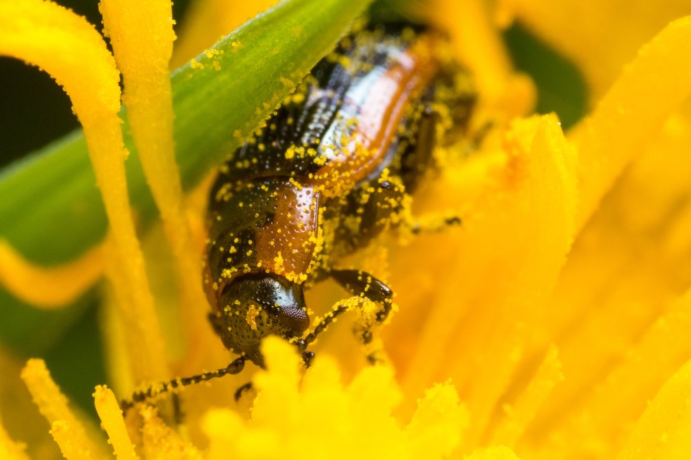 Photograph by Рашид Хайданов