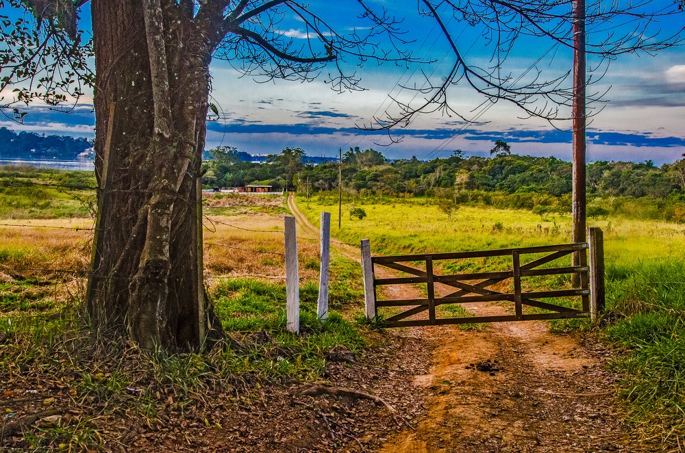 Photograph by Diniz Rodrigo