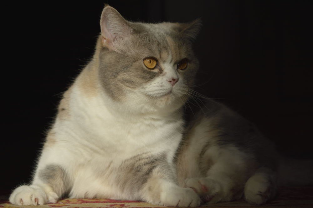 Photograph by Светлана Евпалова