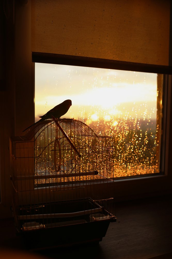 Photograph by Ксения Гербек