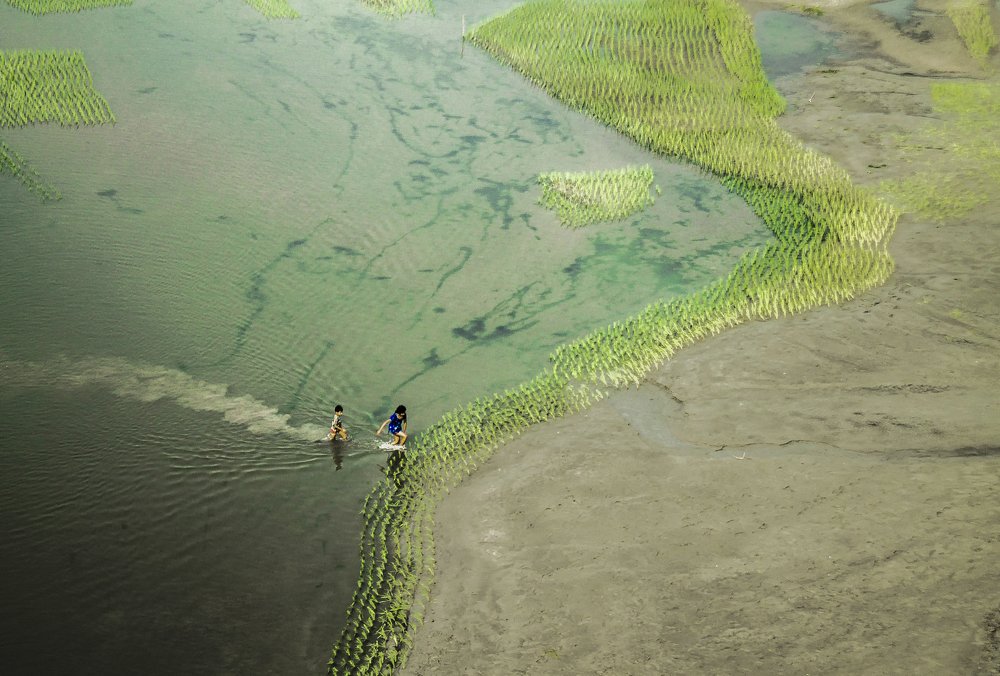 Follow me to the land from the river