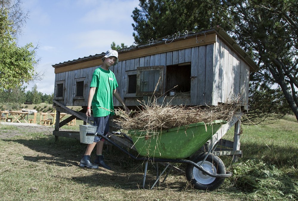 Responsibilities of the child in the family