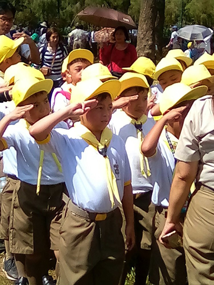 Yellow Scouts Salute!