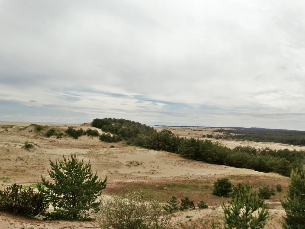 Photograph by Екатерина