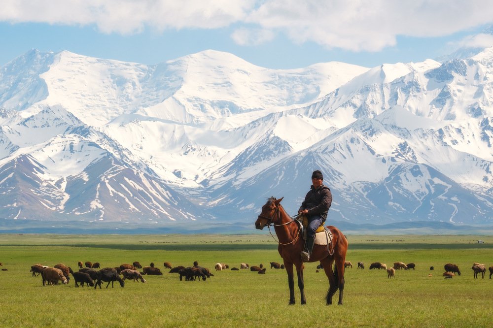 Чабан на джайлоо