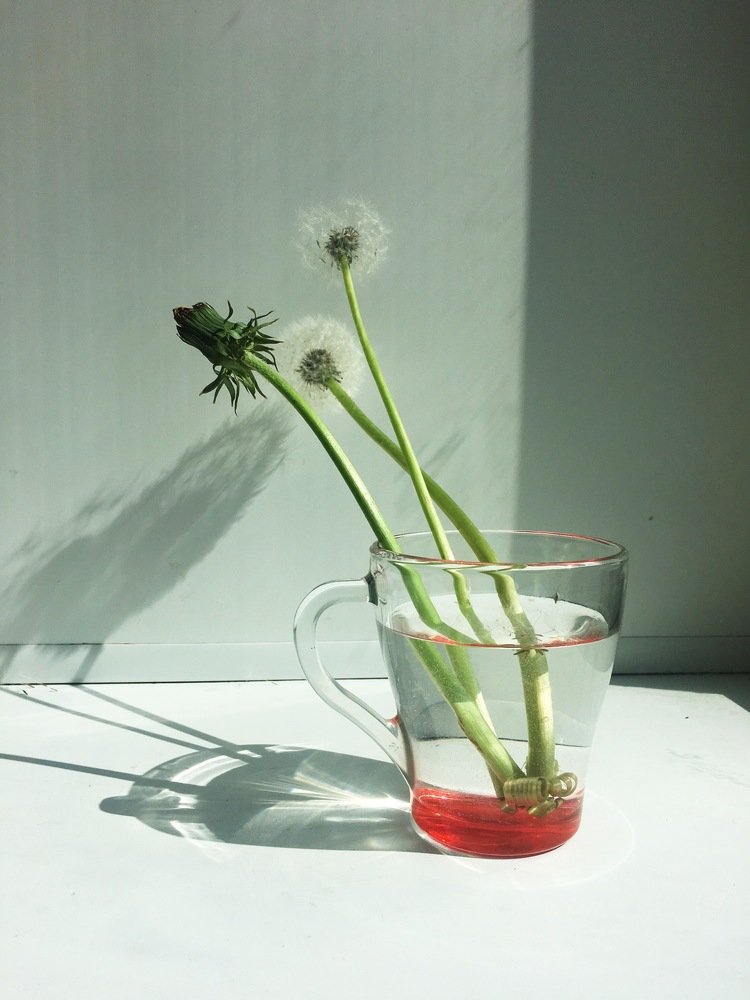 Photograph by Irina Konstantinova