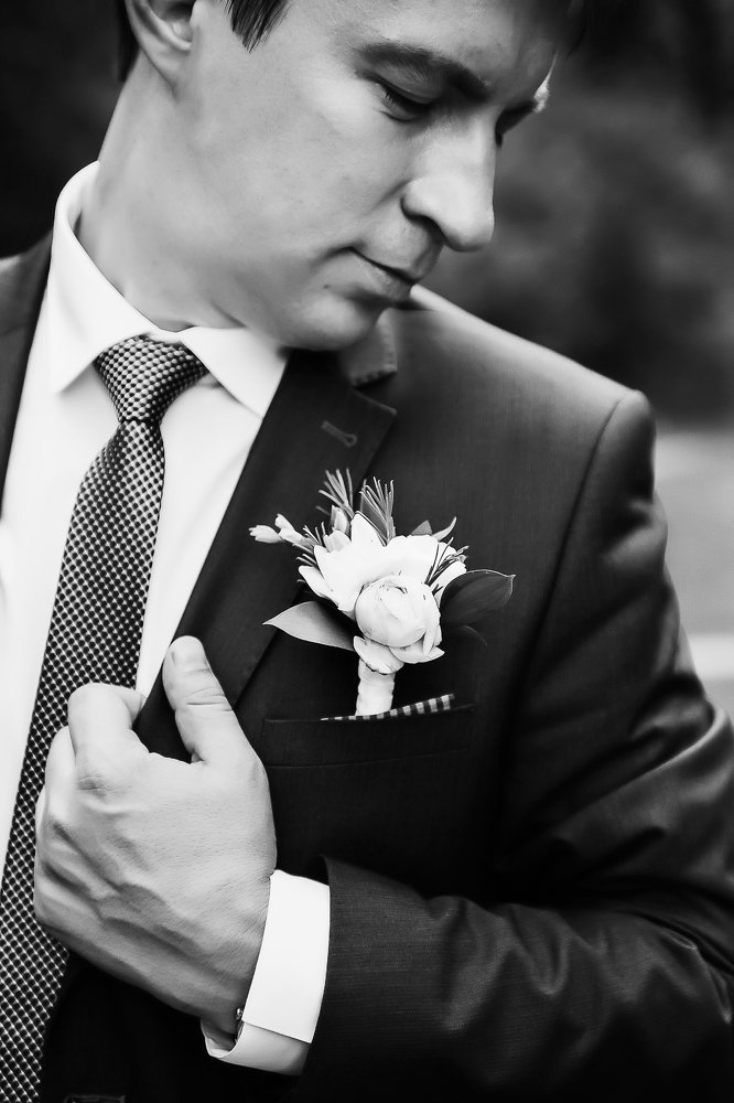 Фотография автора Алина Вербицкая