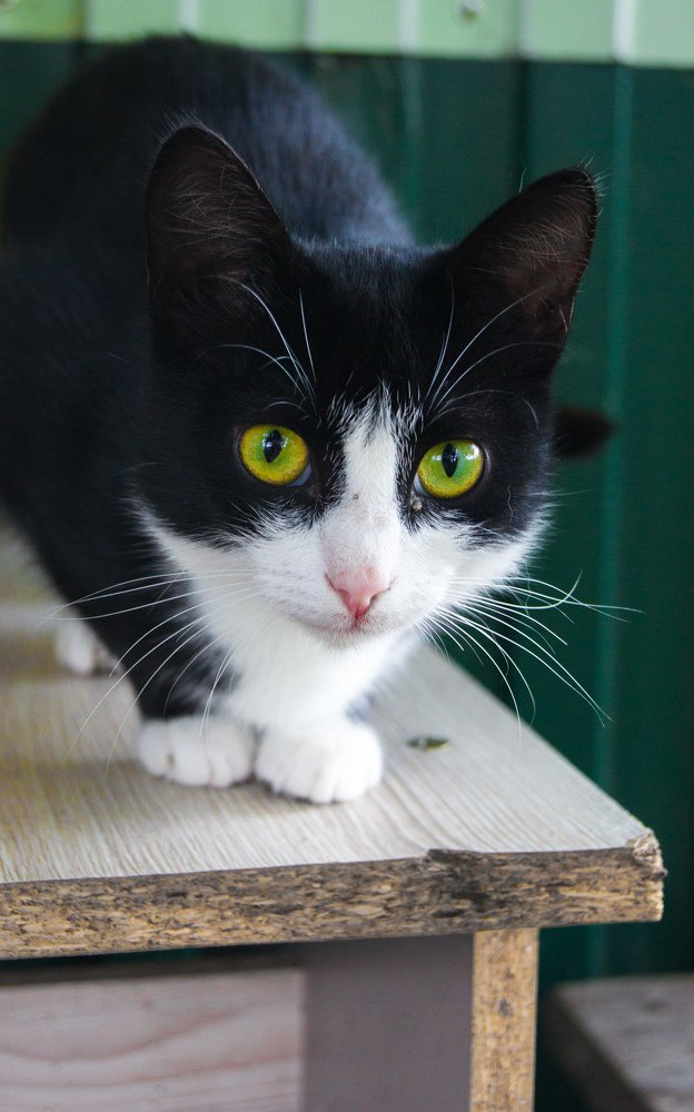 Photograph by Екатерина Бакулина