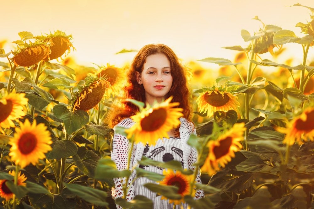 Ангелина в подсолнухах