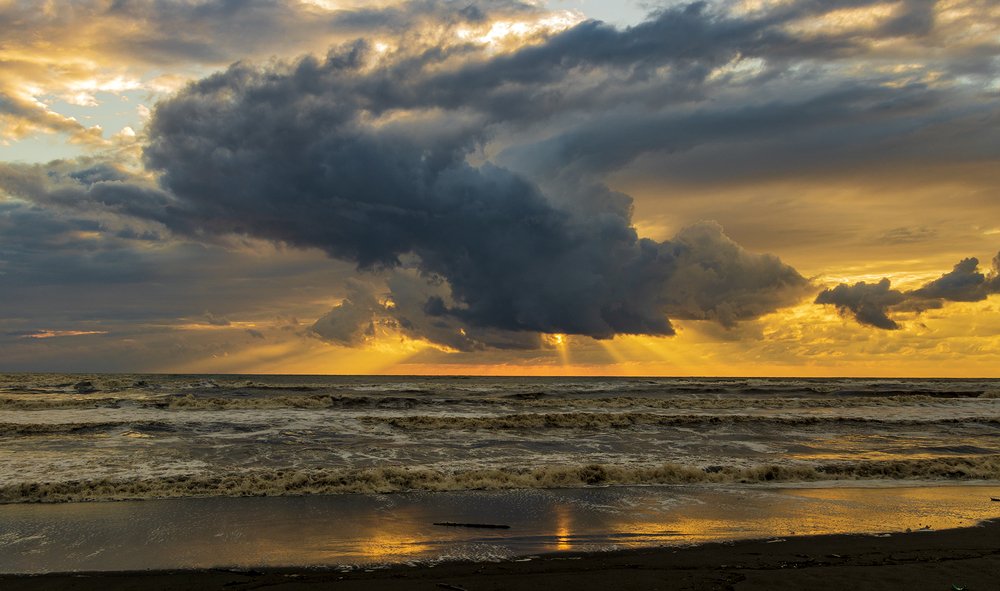 Photograph by Alex Kalpus