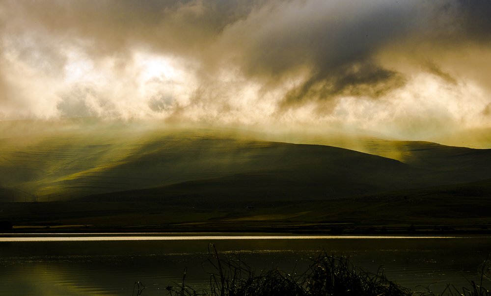 Photograph by Alex Kalpus