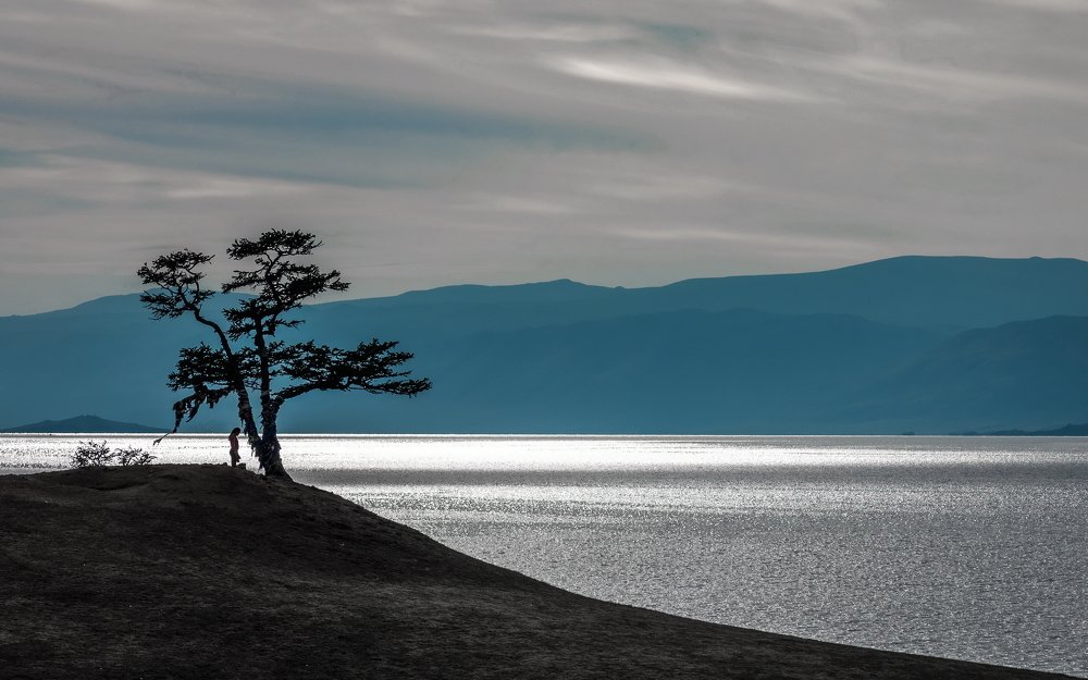 Древо Желаний. Мольба.