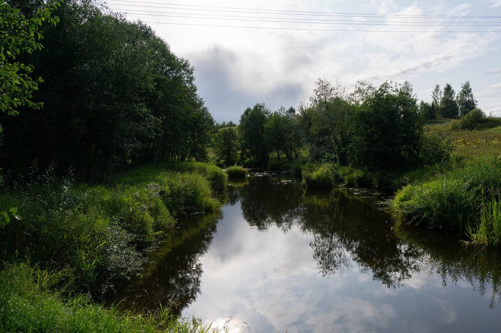 Тихая заводь