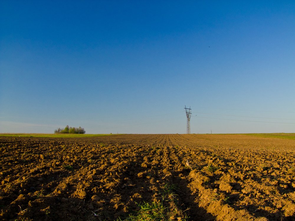 Photograph by Михаил Корнеев