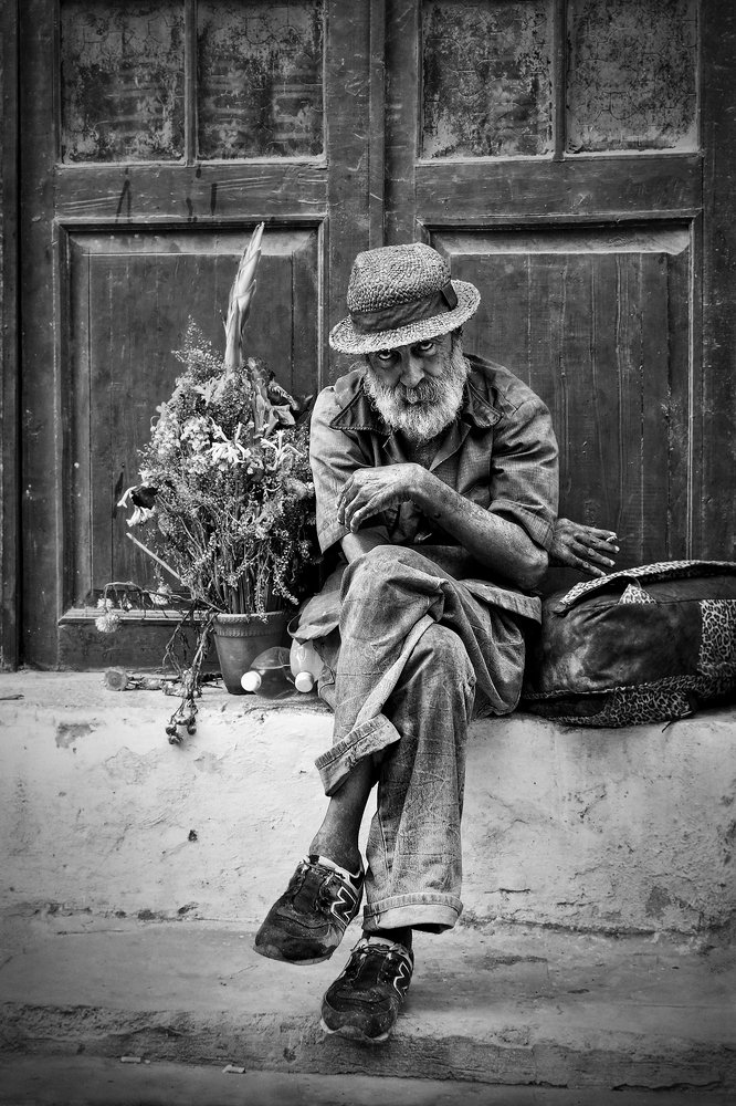 Цветы жизни.