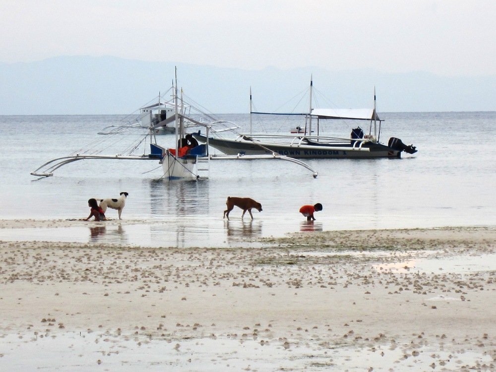 пока родители заняты